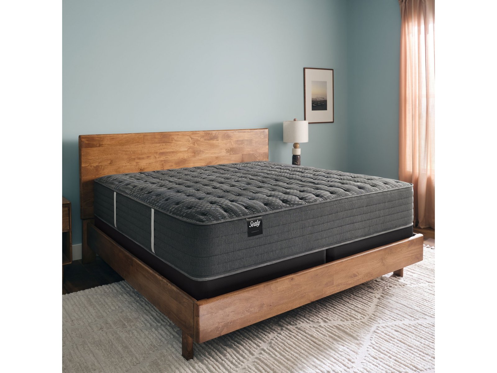 3292651M_1 Sealy® Princeton II Firm Queen Mattress - Image 1