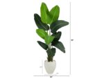 5.5’ Travelers Palm Artificial Tree in White Planter - Image 3