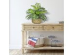 Palm in Low Basket Planter - Image 3