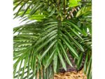 Palm in Low Basket Planter - Image 5