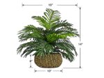 Palm in Low Basket Planter - Image 6