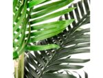 Areca Palm Tree in a Basket - Image 5