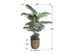Areca Palm Tree in a Basket - Image 6