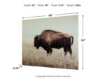 Brutus Bison Wall Art - Image 4