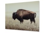 Brutus Bison Wall Art - Image 3