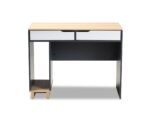 Baxton Studio Reed 2-Drawer Multicolor Computer Desk
