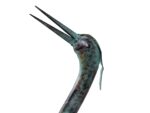 Bayberry Lane Outdoor Coastal Garden Sculpture (Set of 2) - Image 5